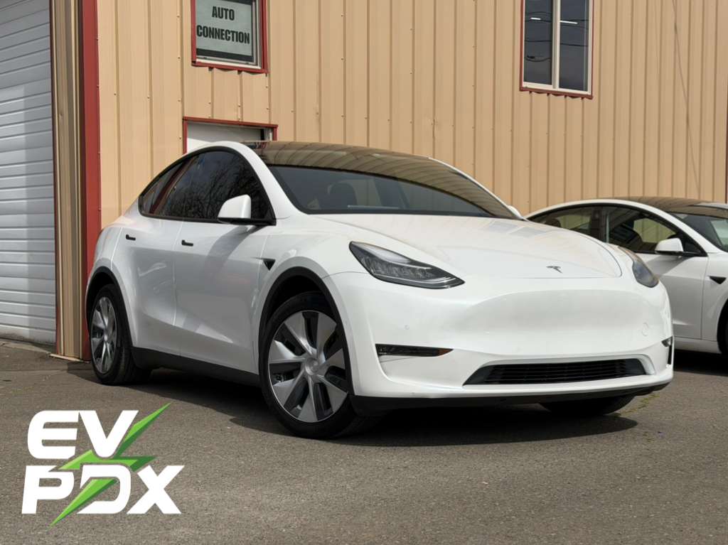 WhatsApp Image 2026-03-31 at 14.49.11