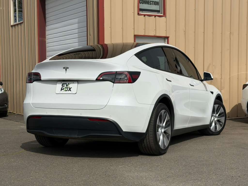 WhatsApp Image 2026-03-31 at 14.49.12 (1)