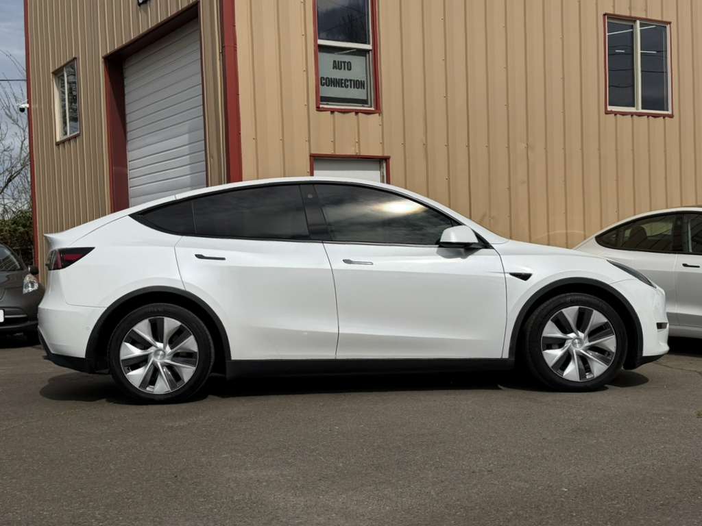 WhatsApp Image 2026-03-31 at 14.49.12