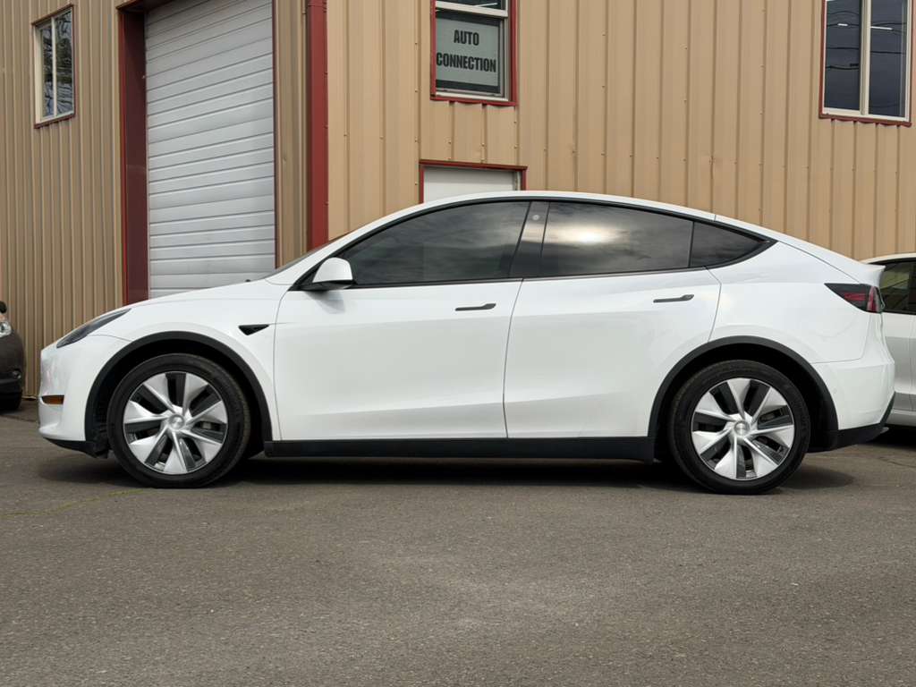 WhatsApp Image 2026-03-31 at 14.49.13 (1)