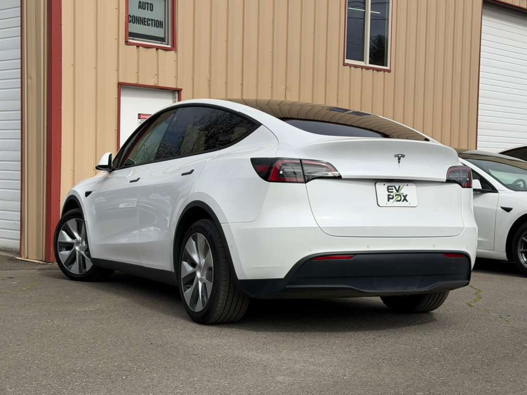 WhatsApp Image 2026-03-31 at 14.49.13